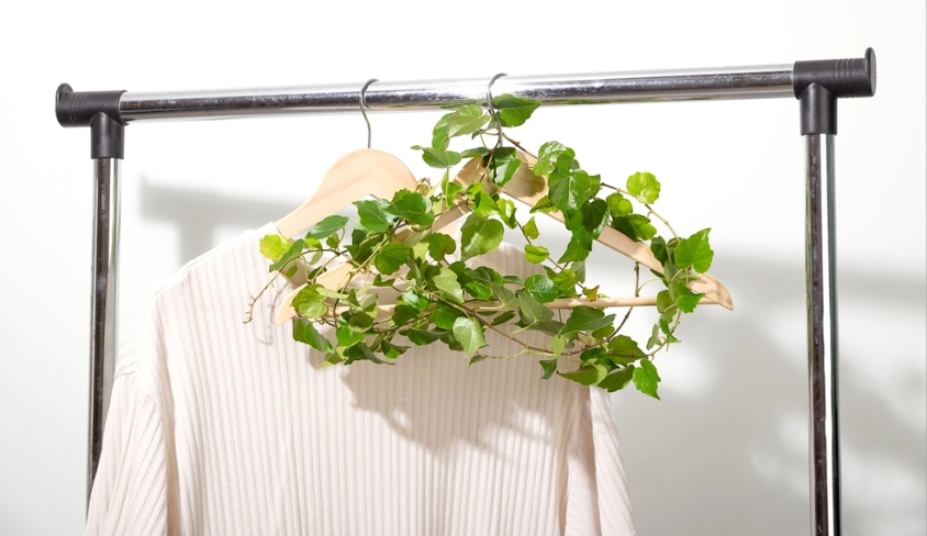 Empty clothes hanger entwined with green plant hanging on plain next to single t-shirt on white wall. Conscious consumption slow fashion concept. Sustainable eco lifestyle conceptual art.